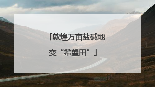 敦煌万亩盐碱地变“希望田”