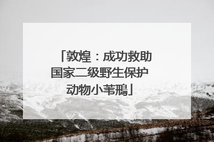敦煌：成功救助国家二级野生保护动物小苇鳽