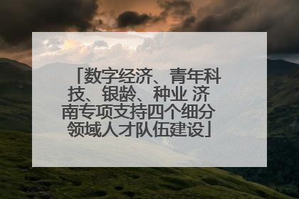数字经济、青年科技、银龄、种业 济南专项支持四个细分领域人才队伍建设
