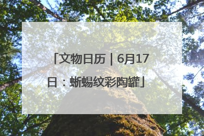 文物日历｜6月17日：蜥蜴纹彩陶罐