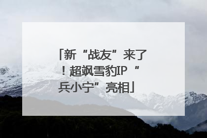 新“战友”来了！超飒雪豹IP“兵小宁”亮相