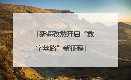新疆孜然开启“数字丝路”新征程