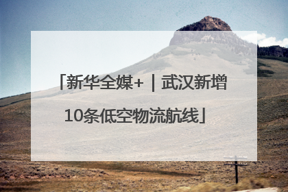 新华全媒+｜武汉新增10条低空物流航线