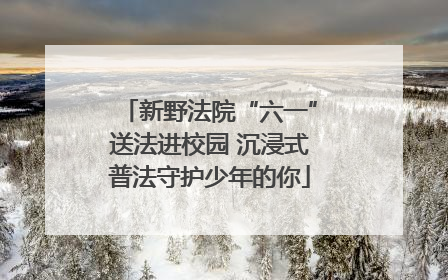 新野法院“六一”送法进校园 沉浸式普法守护少年的你