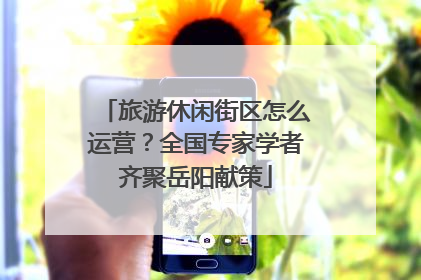 旅游休闲街区怎么运营？全国专家学者齐聚岳阳献策