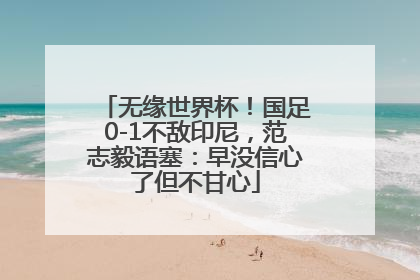 无缘世界杯！国足0-1不敌印尼，范志毅语塞：早没信心了但不甘心