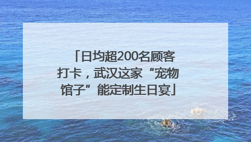 日均超200名顾客打卡，武汉这家“宠物馆子”能定制生日宴