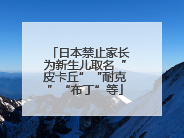 日本禁止家长为新生儿取名“皮卡丘”“耐克”“布丁”等