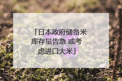 日本政府储备米库存量告急 或考虑进口大米