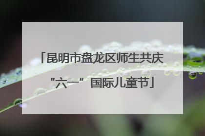 昆明市盘龙区师生共庆“六一”国际儿童节