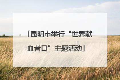 昆明市举行“世界献血者日”主题活动