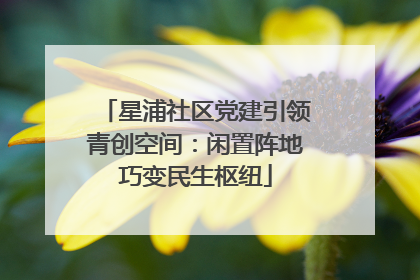 星浦社区党建引领青创空间：闲置阵地巧变民生枢纽