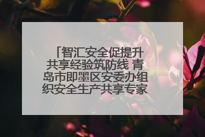 智汇安全促提升 共享经验筑防线 青岛市即墨区安委办组织安全生产共享专家现场观摩学习活动