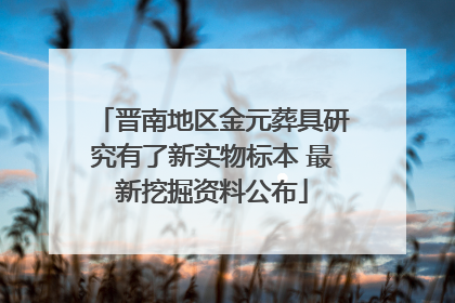 晋南地区金元葬具研究有了新实物标本 最新挖掘资料公布