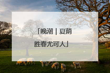 晚潮｜夏荫胜春尤可人