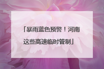 暴雨蓝色预警！河南这些高速临时管制