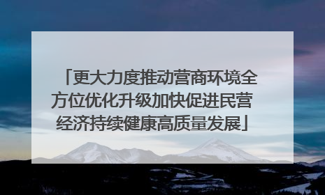 更大力度推动营商环境全方位优化升级加快促进民营经济持续健康高质量发展