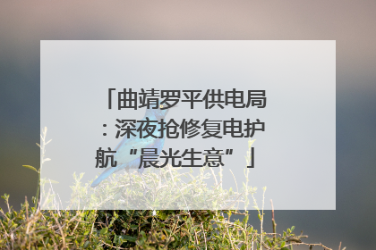 曲靖罗平供电局：深夜抢修复电护航“晨光生意”