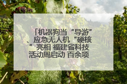 机器狗当“导游”、应急无人机“硬核”亮相 福建省科技活动周启动 百余项特色活动酷炫来袭