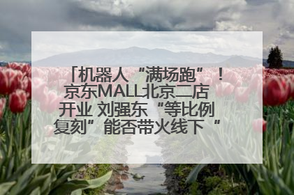 机器人“满场跑”！京东MALL北京二店开业 刘强东“等比例复刻”能否带火线下“618”？