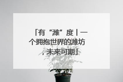 有“潍”度丨一个拥抱世界的潍坊，未来可期