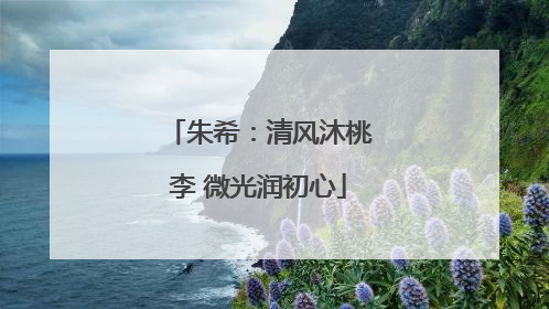 朱希：清风沐桃李 微光润初心