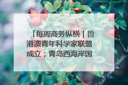 每周商务纵横｜鲁港澳青年科学家联盟成立；青岛西海岸国际能源自贸港启用