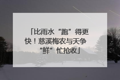 比雨水“跑”得更快！慈溪梅农与天争“鲜”忙抢收