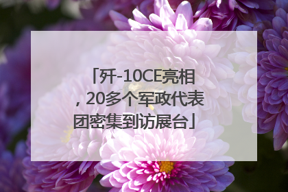 歼-10CE亮相，20多个军政代表团密集到访展台