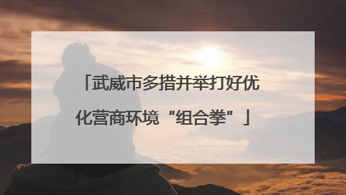 武威市多措并举打好优化营商环境“组合拳”