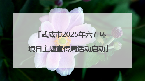 武威市2025年六五环境日主题宣传周活动启动