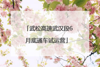 武松高速武汉段6月底通车试运营
