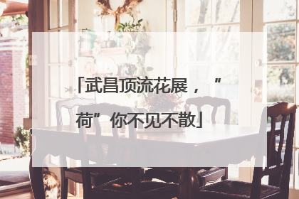 武昌顶流花展，“荷”你不见不散