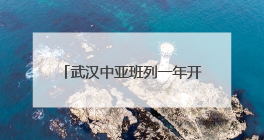 武汉中亚班列一年开行量同比增长72%