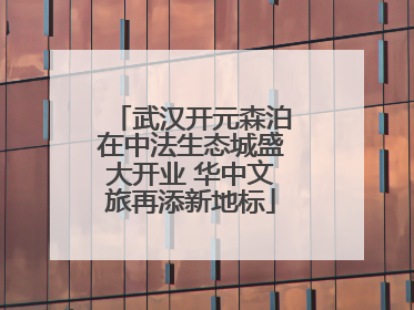 武汉开元森泊在中法生态城盛大开业 华中文旅再添新地标