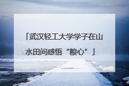 武汉轻工大学学子在山水田间感悟“粮心”