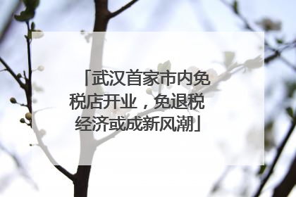 武汉首家市内免税店开业，免退税经济或成新风潮