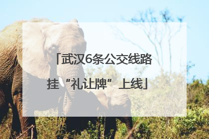 武汉6条公交线路挂“礼让牌”上线