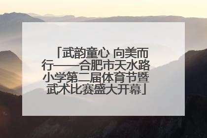 武韵童心 向美而行——合肥市天水路小学第二届体育节暨武术比赛盛大开幕