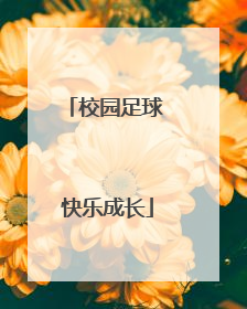 校园足球 快乐成长