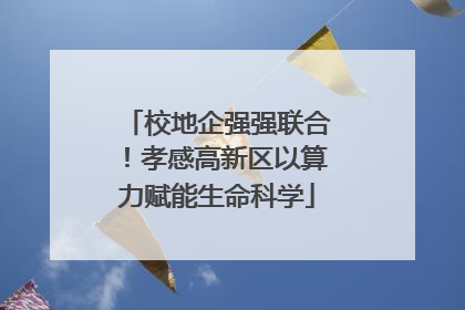 校地企强强联合！孝感高新区以算力赋能生命科学
