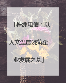 株洲电信：以人文温度浇筑企业发展之基
