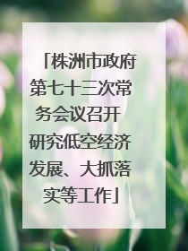 株洲市政府第七十三次常务会议召开 研究低空经济发展、大抓落实等工作