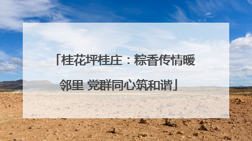 桂花坪桂庄：粽香传情暖邻里 党群同心筑和谐