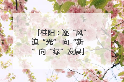桂阳：逐“风”追“光” 向“新”向“绿”发展