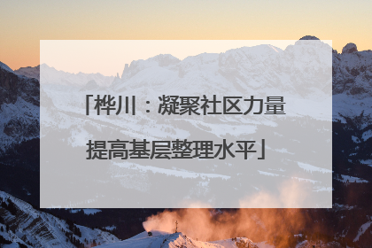 桦川：凝聚社区力量 提高基层整理水平