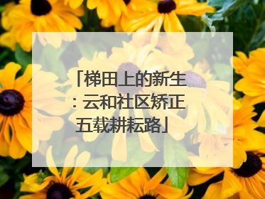 梯田上的新生：云和社区矫正五载耕耘路