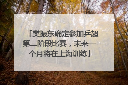 樊振东确定参加乒超第二阶段比赛，未来一个月将在上海训练