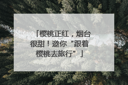 樱桃正红，烟台很甜！邀你“跟着樱桃去旅行”