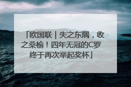 欧国联｜失之东隅，收之桑榆！四年无冠的C罗终于再次举起奖杯